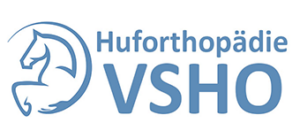 VSHO Web Logo 300x138